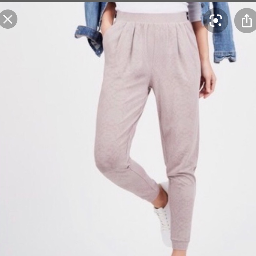 Summer & Sage || Lavender Jogger Pants